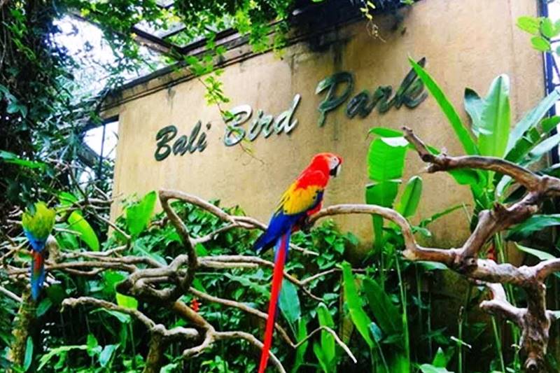 bali bird park 2