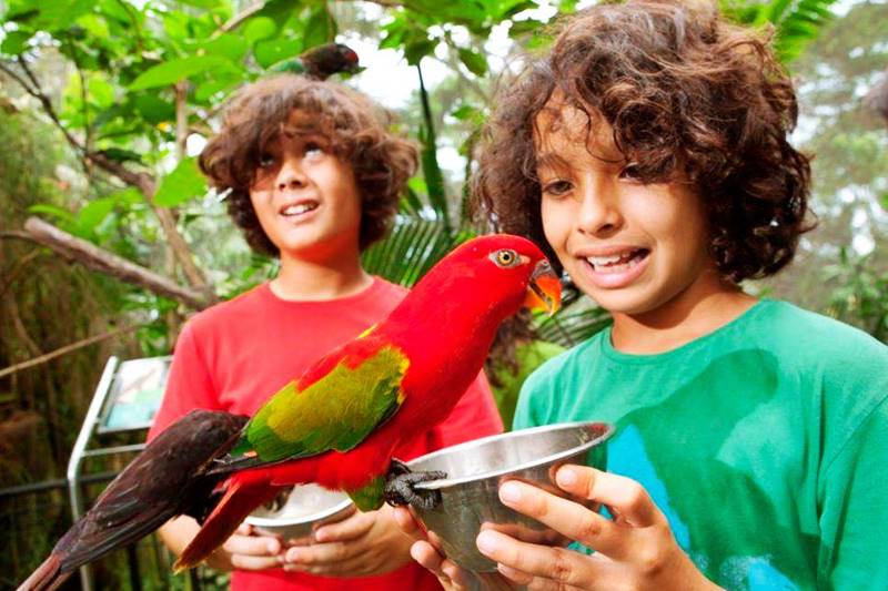 bali bird park 5