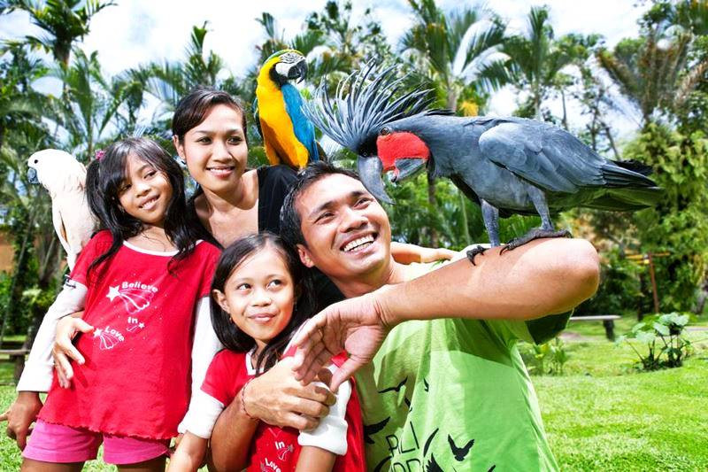 bali bird park