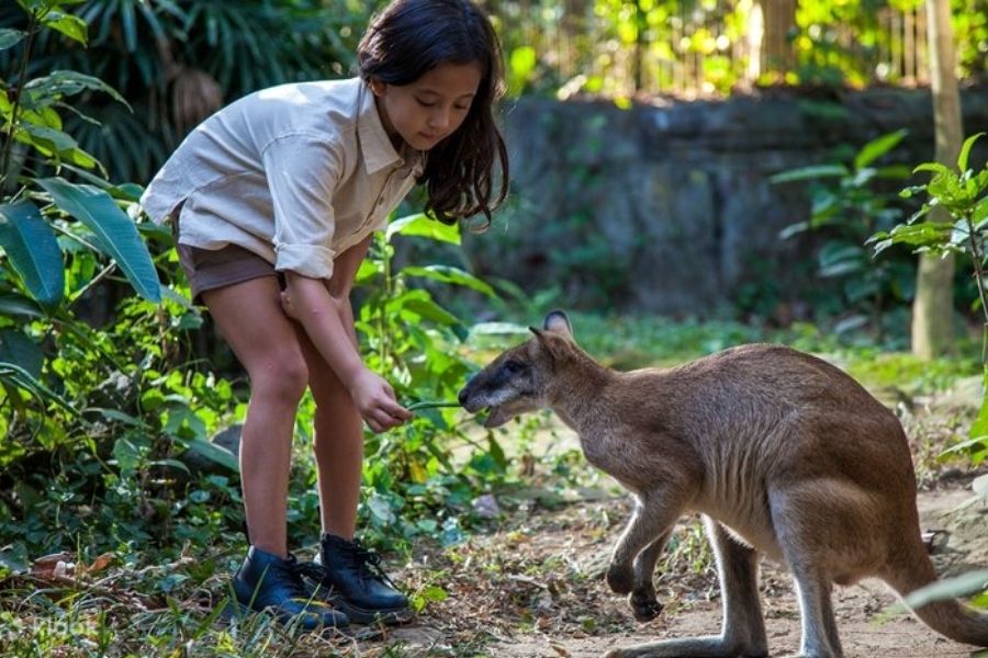 bali zoo 2