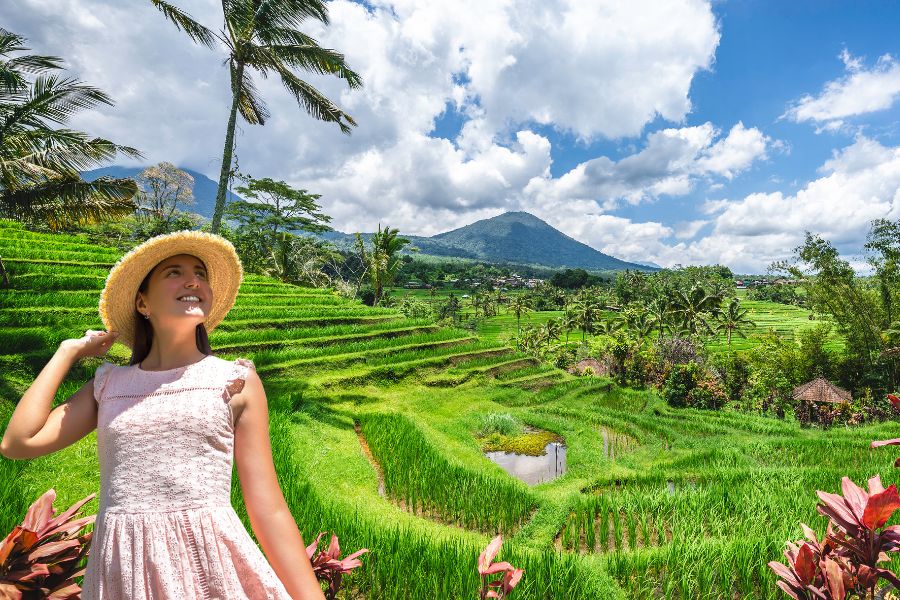 jatiluwih rice terraces
