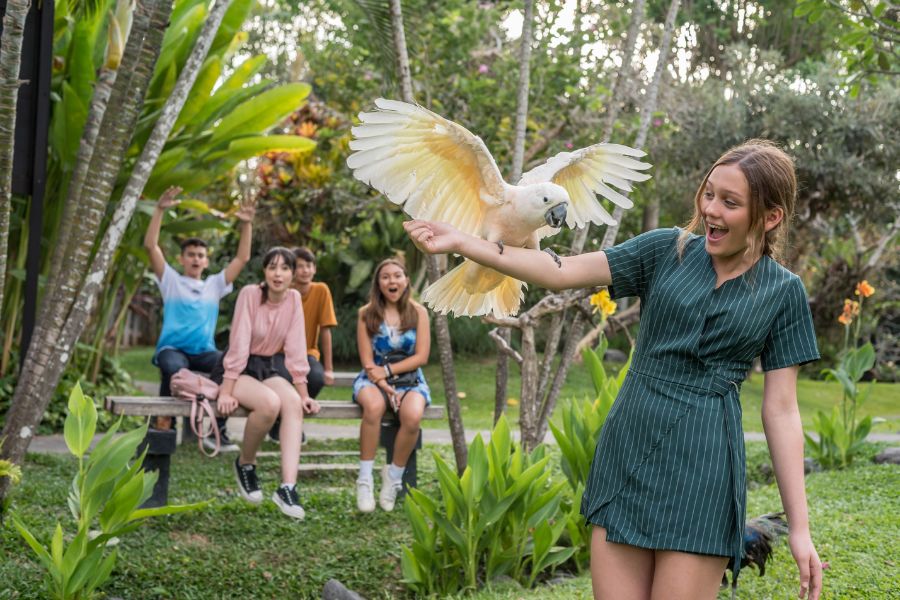 liburan bali bird park