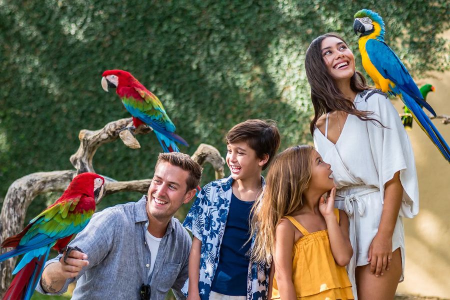 wisata bali bird park